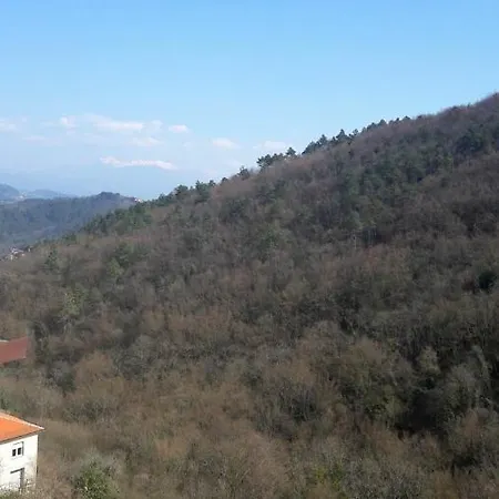 5 Bedrooms House With Terrace At Quaratica